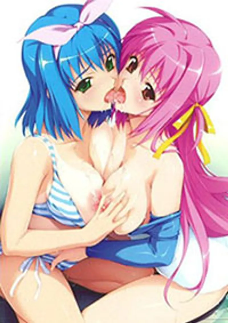 Gakuen saimin reido 2